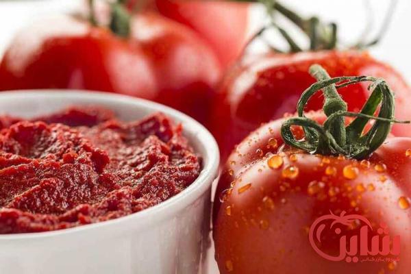 فروشنده رب گوجه فرنگی درجه یک