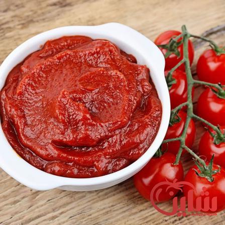 بررسی ویژگی های رب گوجه صادراتی