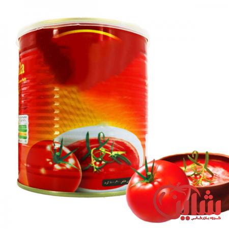 قیمت انواع رب گوجه 800گرم کلیددار