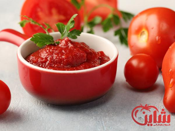 معیارهای انتخاب انواع رب گوجه‌فرنگی