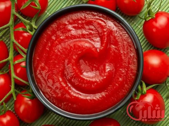ویژگی های شناخت یک رب گوجه
