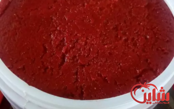 شرکت عرضه رب گوجه اسپتیک عمده