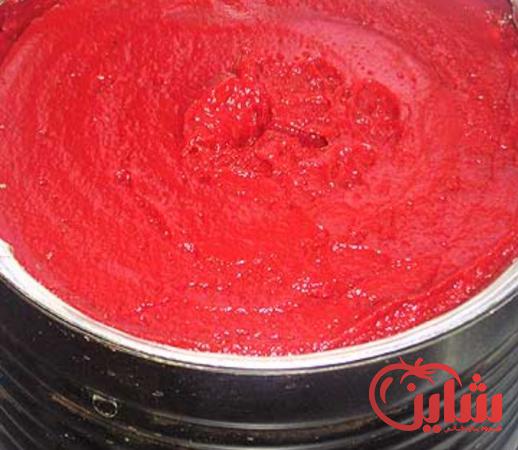 نرخ خرید رب گوجه اسپتیک مرغوب