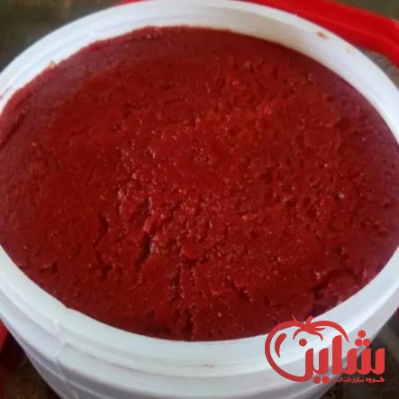 معرفی مشخصات رب گوجه اسپتیک مرغوب