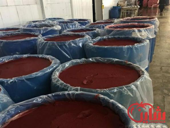 قیمت ارزان رب گوجه اسپتیک عمده