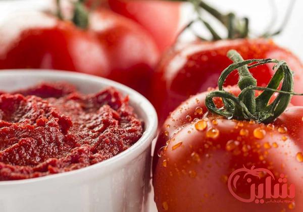 عرضه رب گوجه فرنگی صادراتی