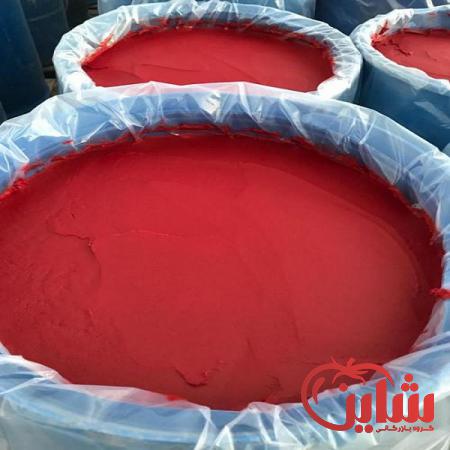 صادرکنندگان رب گوجه اسپتیک