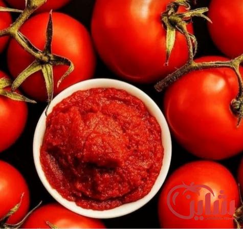 اطلاعات کامل از مواد مغذی درون رب گوجه