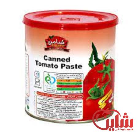 رب گوجه فرنگی ضامن غلیظ | قیمت مناسب خرید عالی